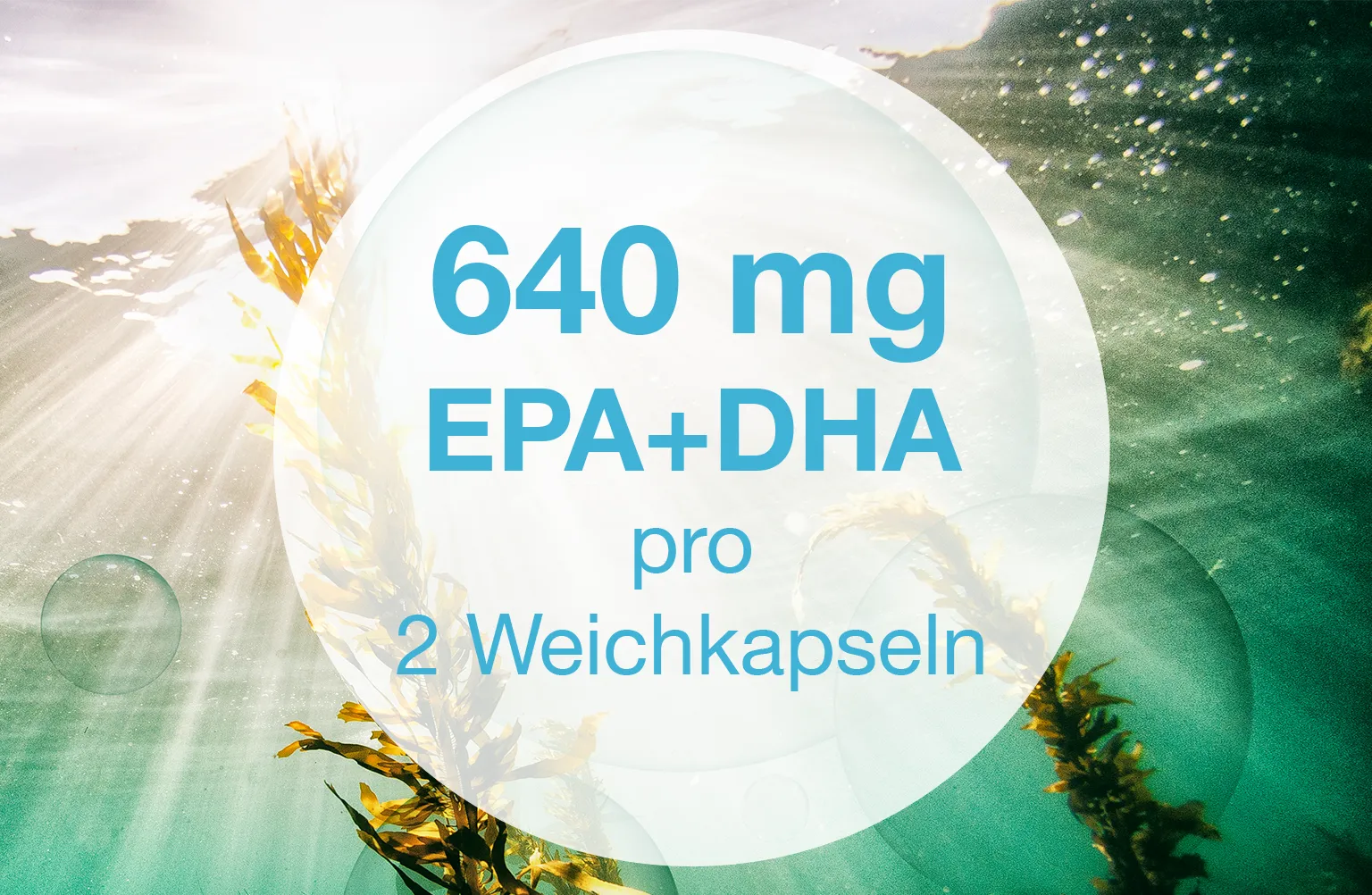 640 mg EPA + DHA pro 2 Weichkapseln vegan