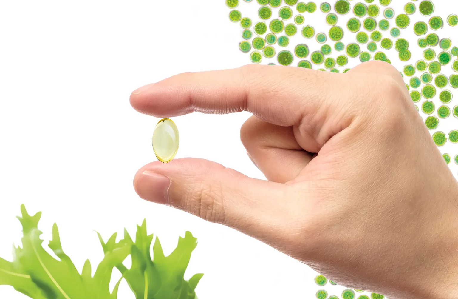 Kleine vegane Omega‑3 Kapseln aus Algenöl, zwischen zwei Fingern gehalten, vor hellem Hintergrund mit Algenmotiv.