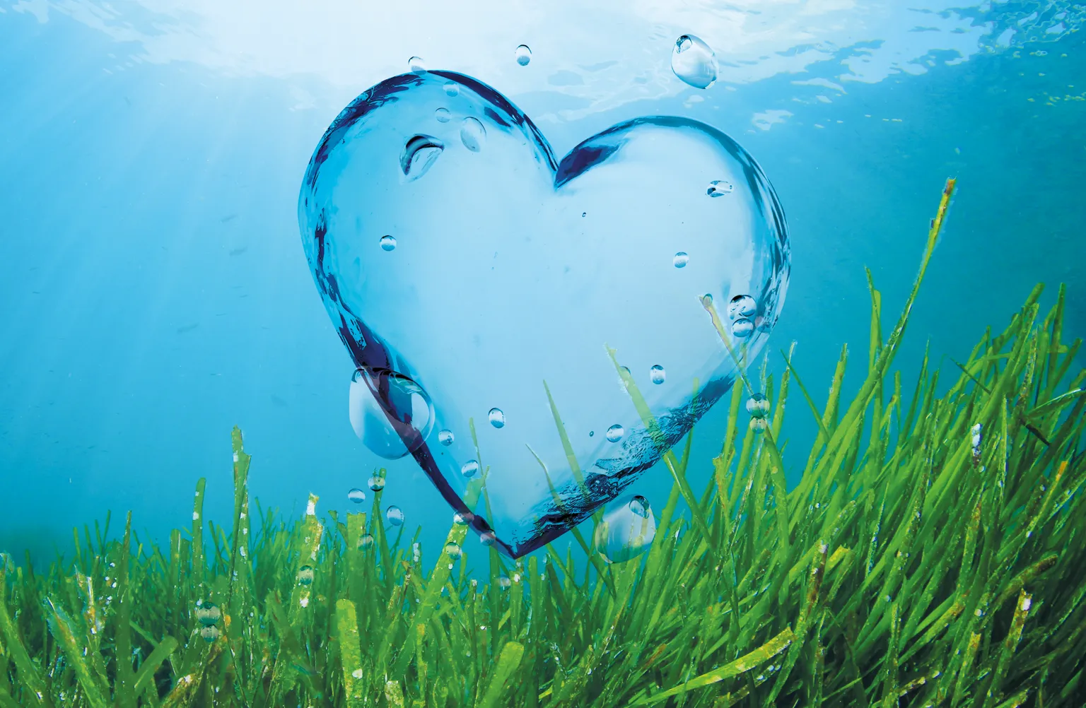 Veganes Omega‑3 aus Algenöl, dargestellt durch ein Herzmotiv unter Wasser über grünem Algenbewuchs.