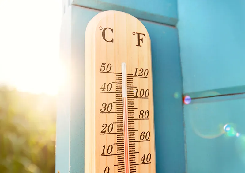 Sommergrippe: Auslöser, Symptome und Behandlung