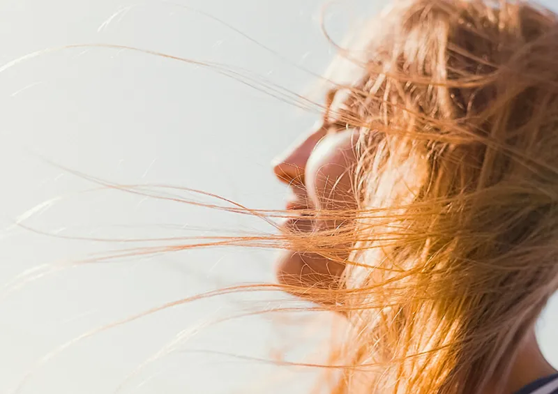 Immunsystem & Erkältung