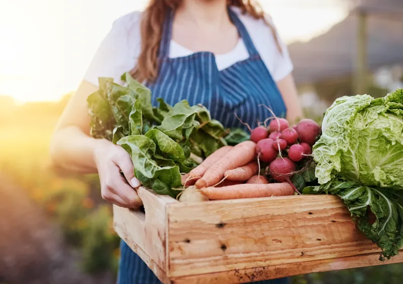 Richtige Ernährung für die Leber
